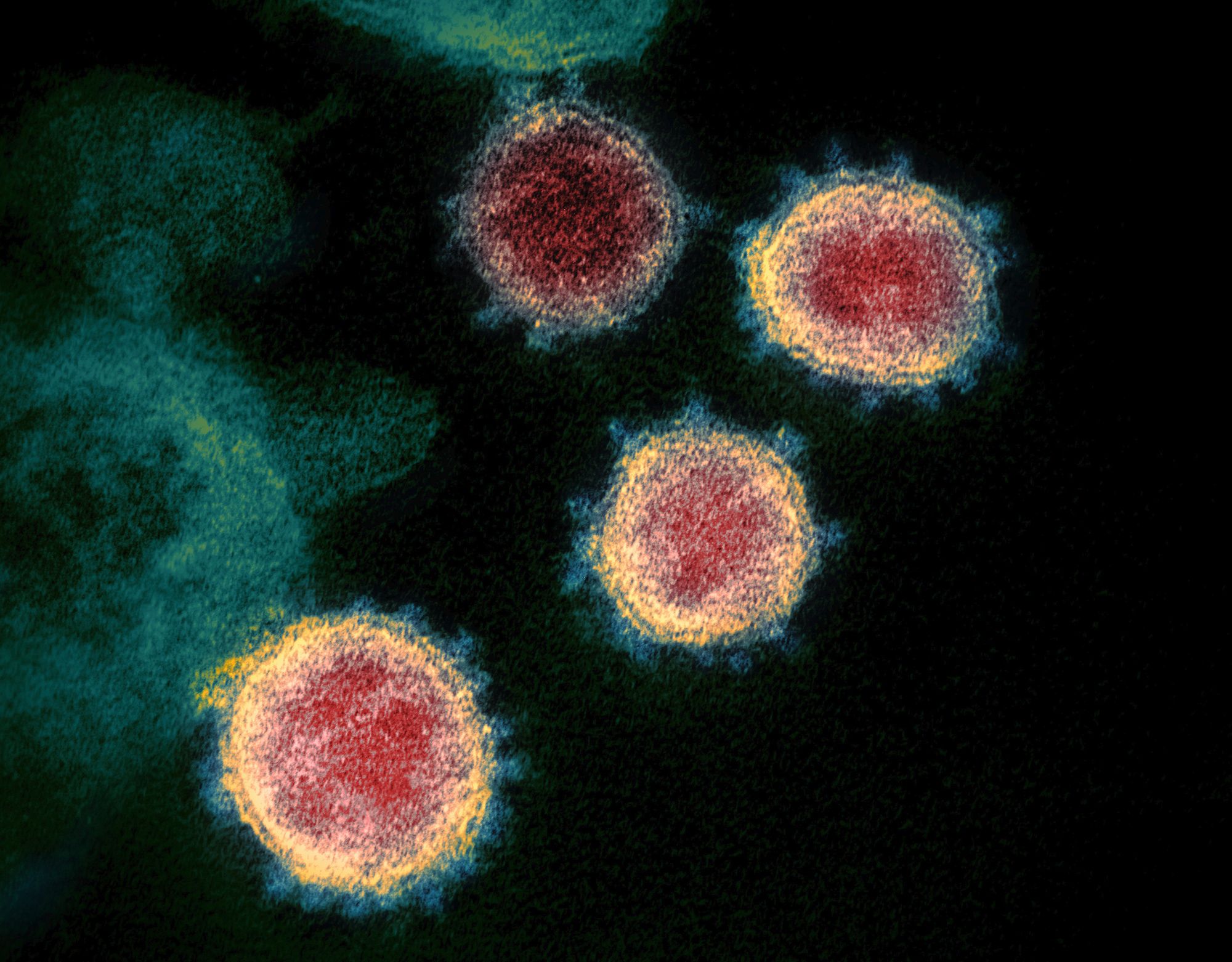 新型コロナウイルス感染拡大に伴う稽古休止について